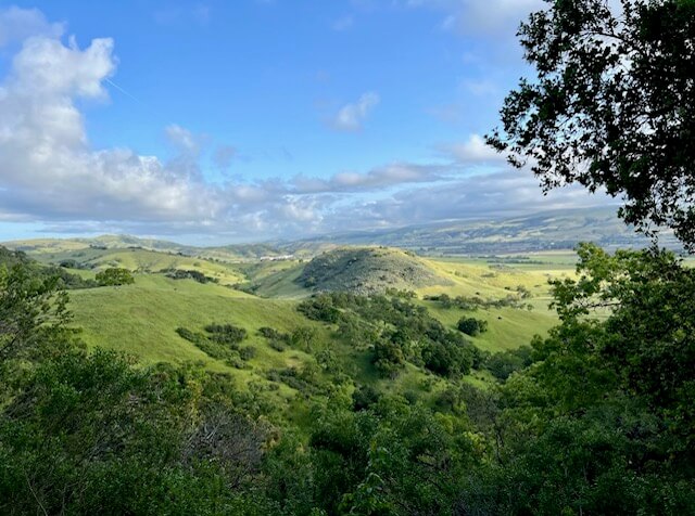 Rolling hills of Coyote Valley