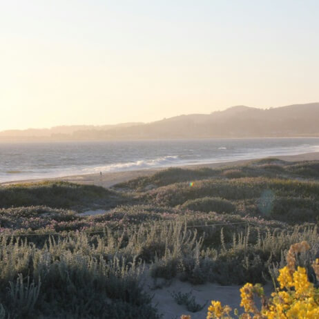 beach at Half Moon Bay