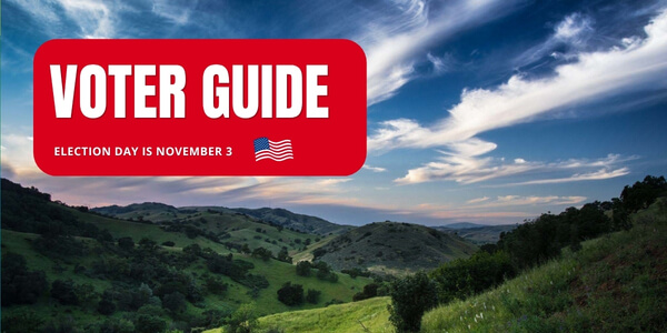 Voter Guide logo