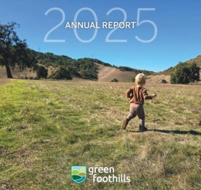 Annual Report 2025
